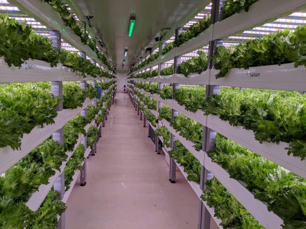 Vertical Farming: An Innovation in Agricultural Industries - Wartalaap