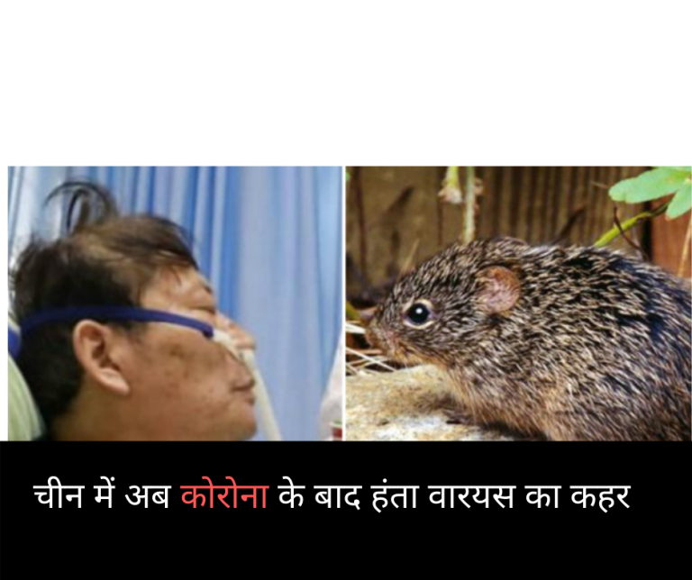 चीन में अब कोरोना के बाद हंता वारयस का कहर