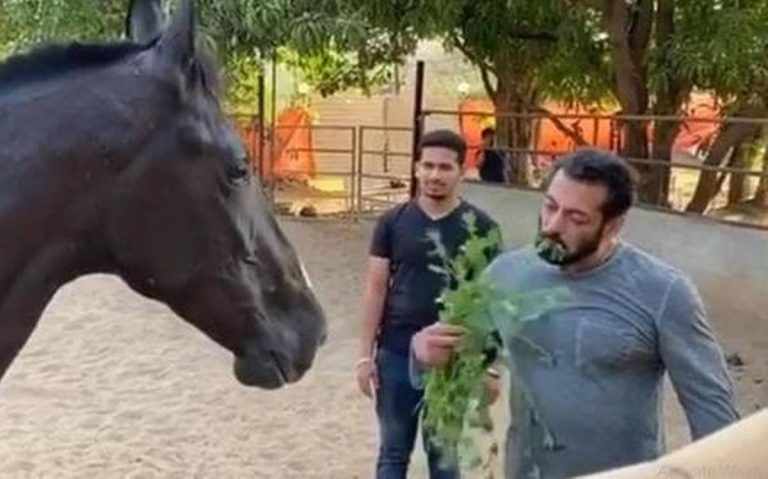 salman khan's panvel farmhouse