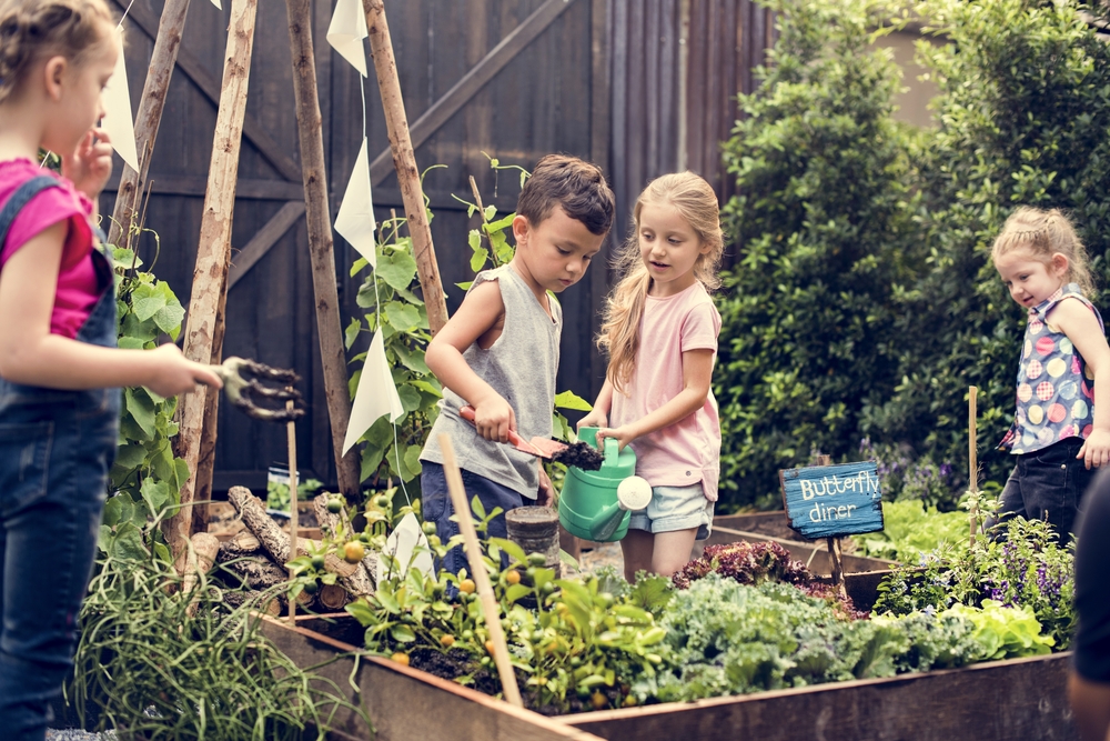 kids Plant a garden