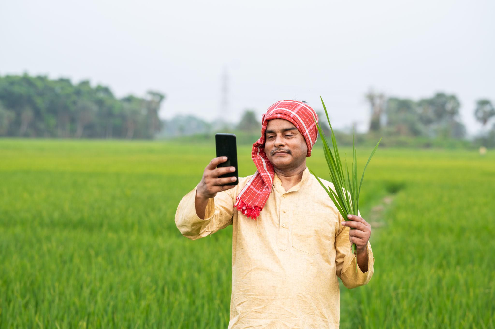 Apply Fertilizer in Field