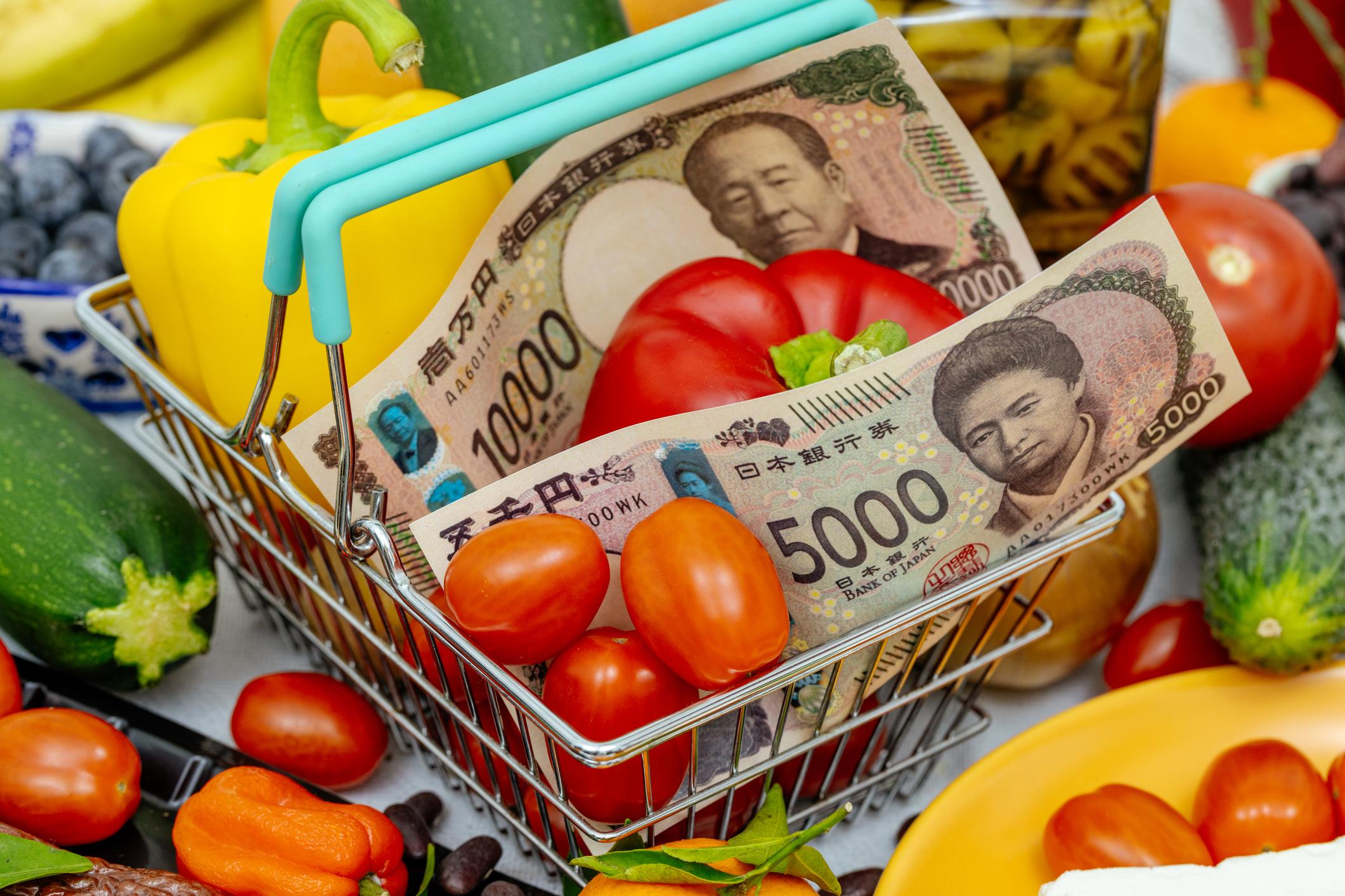 Japan finance minister katayamas