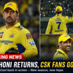 MS Dhoni news