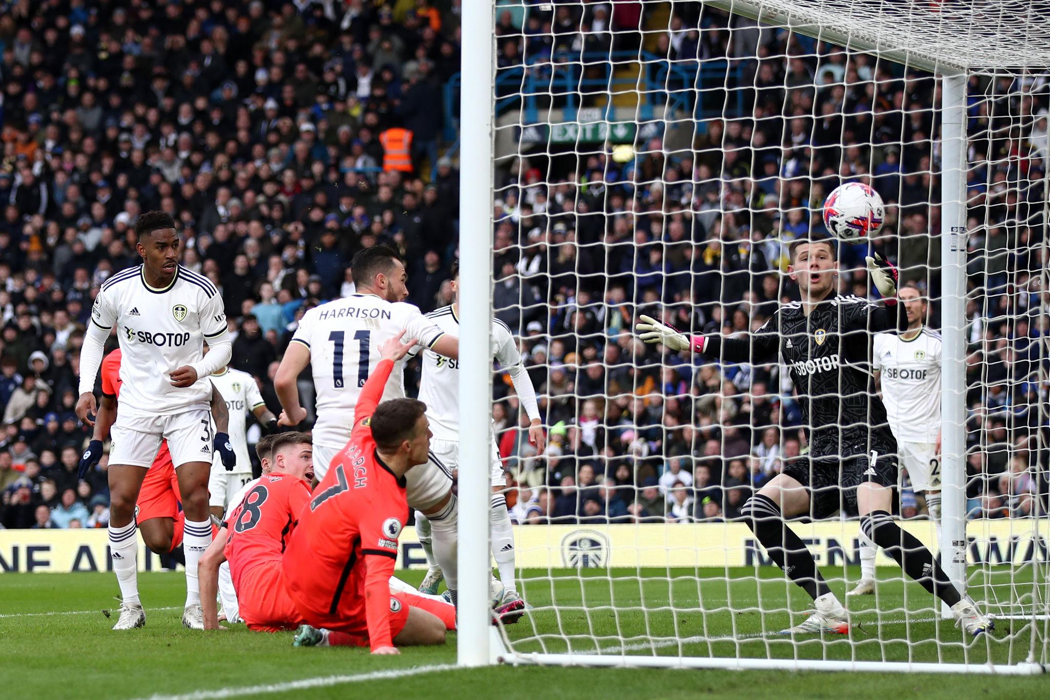 leeds vs brighton