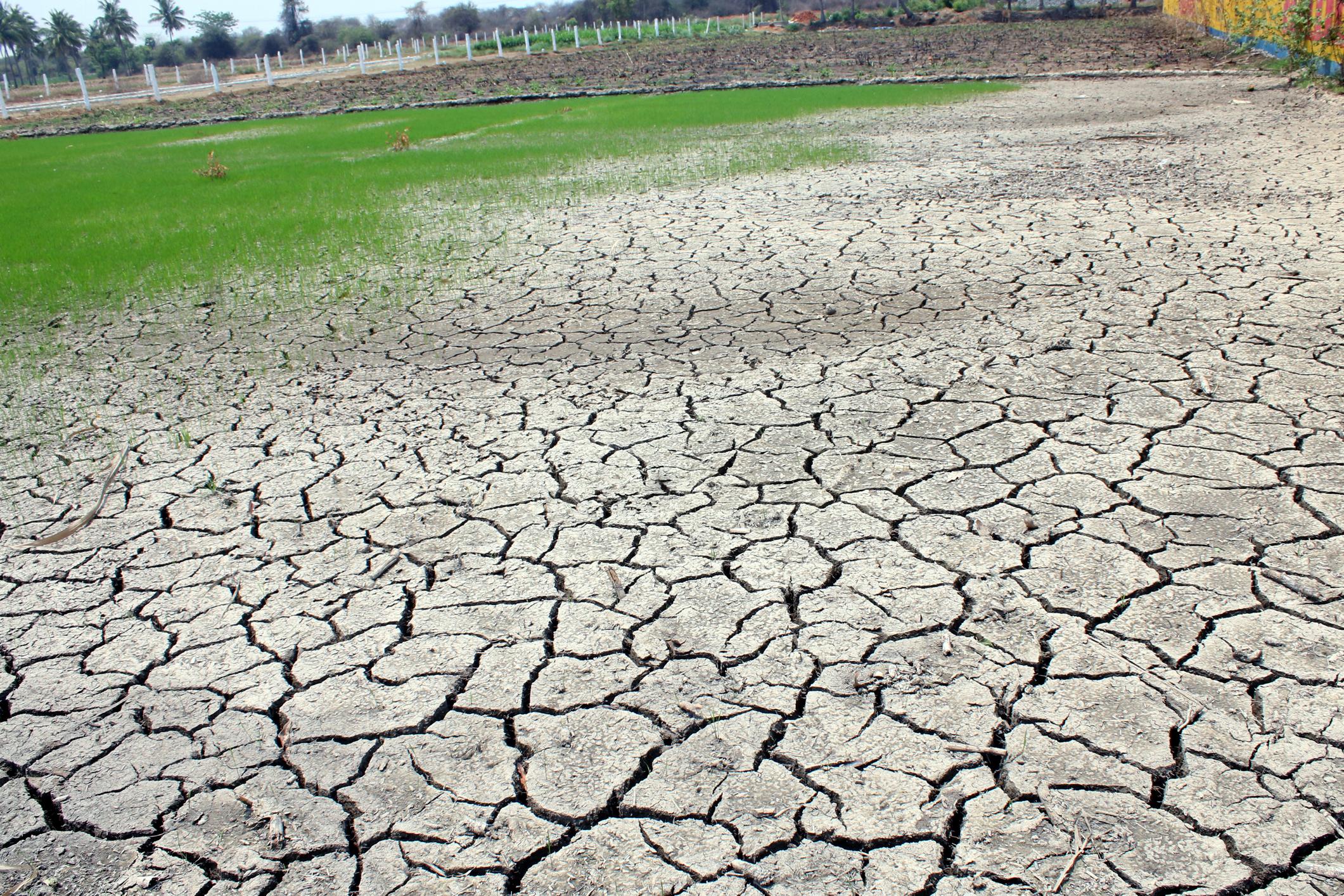 godzilla el nino india impact