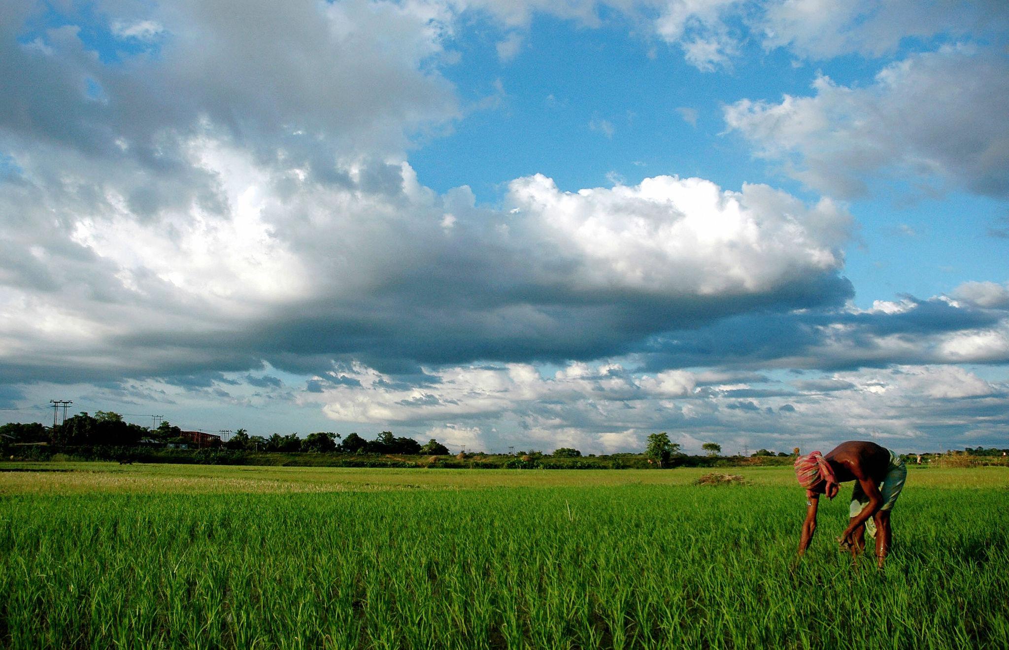 godzilla el nino india impact