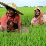 pradhan mantri kisan samman nidhi