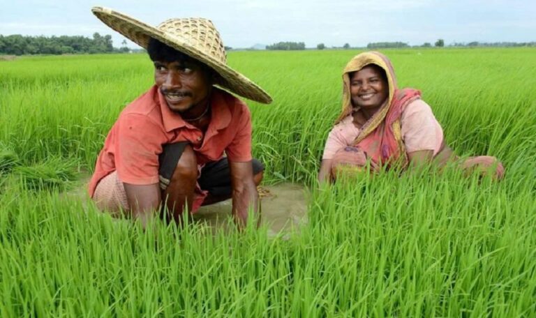 pradhan mantri kisan samman nidhi