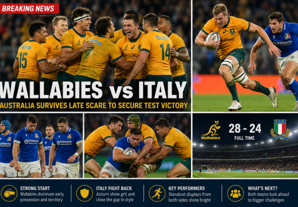 Wallabies vs Italy